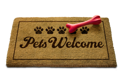 425x282xFind-pet-friendly-restaurants-at-Pet-Hotels-of-America1.jpg.pagespeed.ic